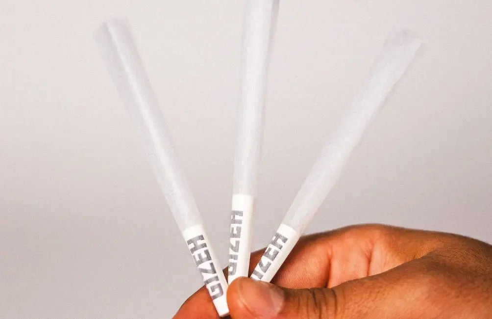 Hand hält drei transluzente weiße Rolling Papers zum Joint drehen