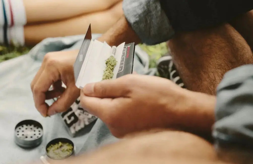 Schwarzer Karton mit Cannabis für Rolling Papers Guide, offen