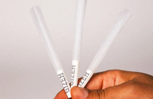 Drei transluzente weiße Gizeh-Papiere in Hand mit Aktivkohlefilter